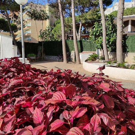 Paradis Salou, Centro Turistico, Wifi, Piscina, Vistas Al Mar Exteriör bild