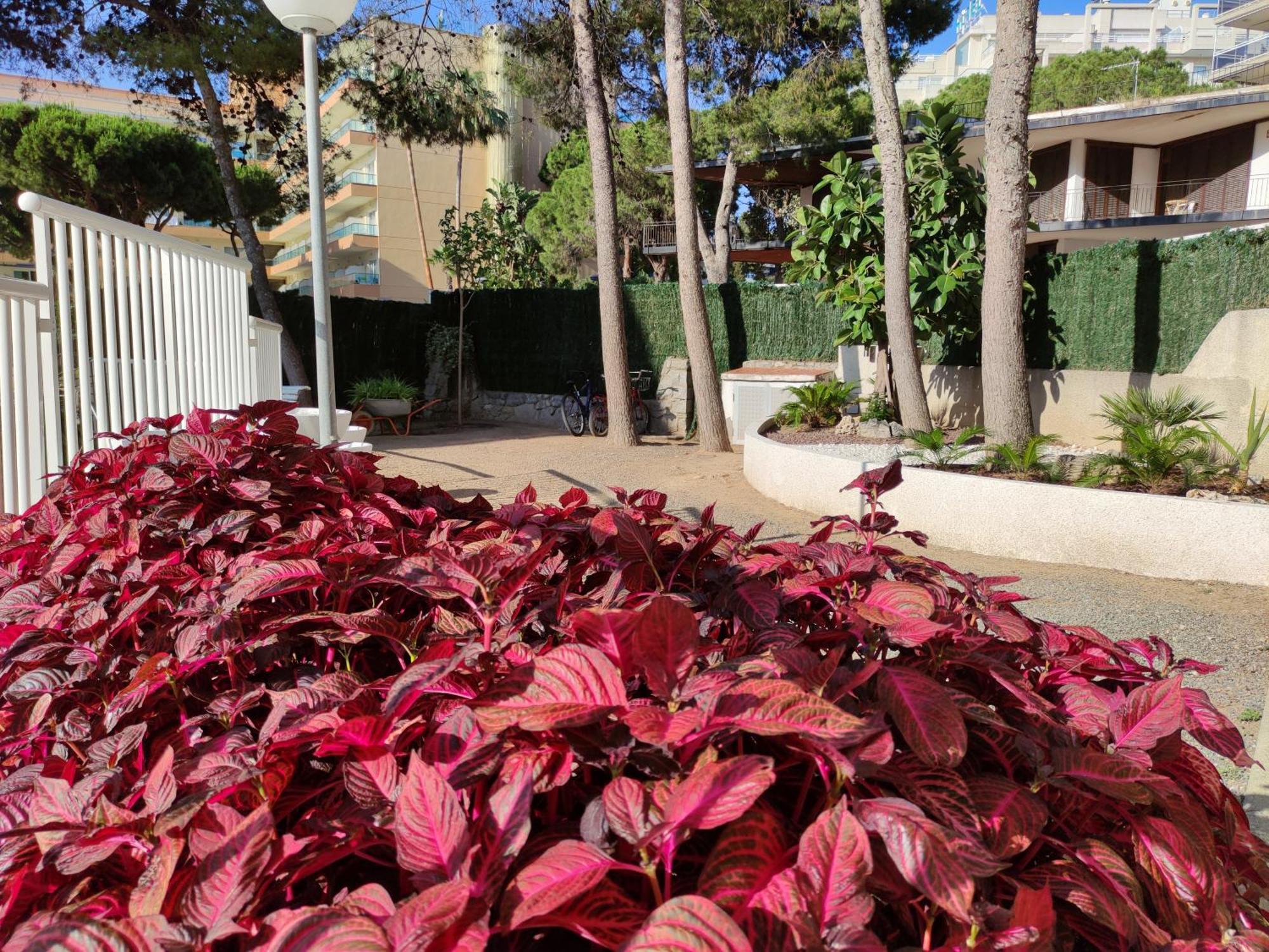Paradis Salou, Centro Turistico, Wifi, Piscina, Vistas Al Mar Exteriör bild